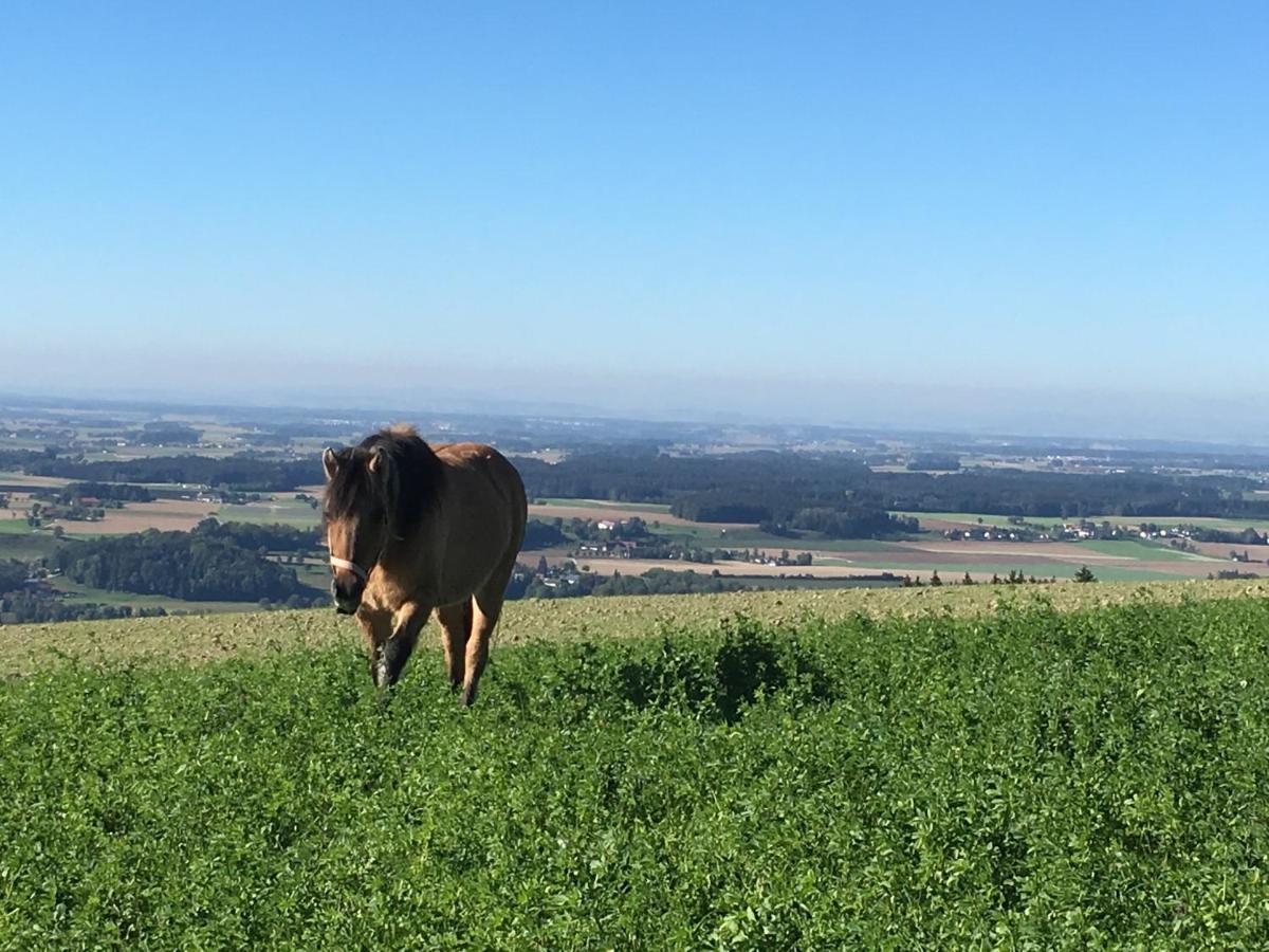 Hochhubergut Villa Aschach an der Steyr Eksteriør billede